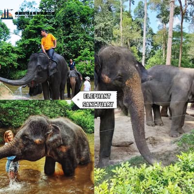 Elephant Sanctuary - Misty Mountain